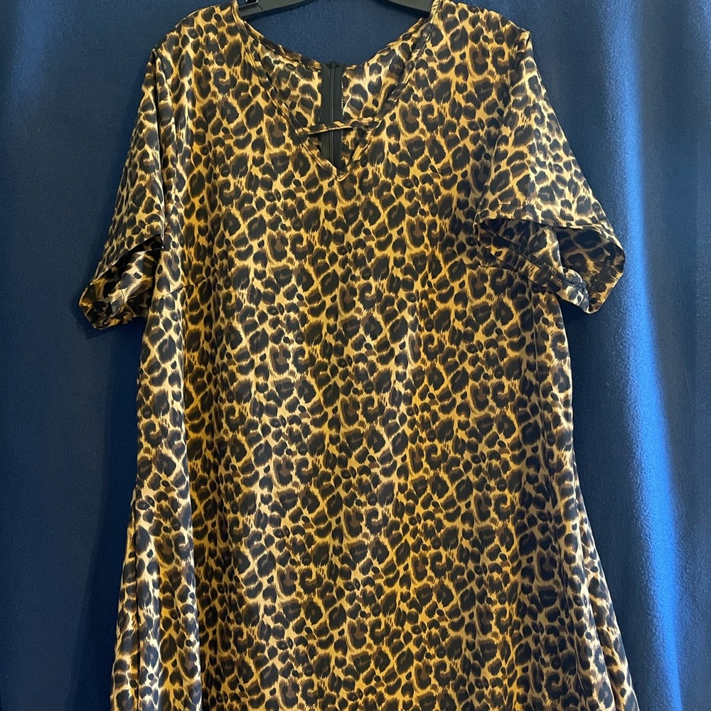 Cheetah Me